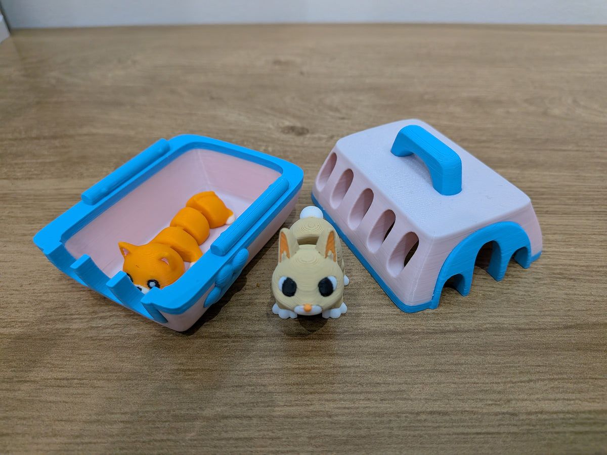 Pack Transportadora + 2 Flexis
