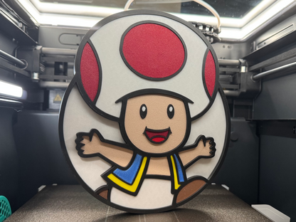 Wall Art - Toad
