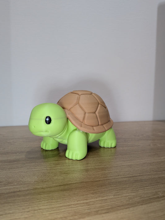 Tortuga